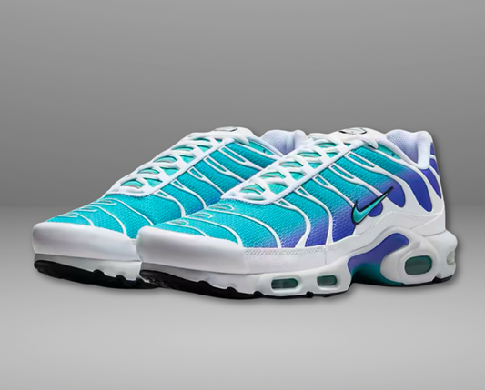 Nike Air Max Plus "Aqua"