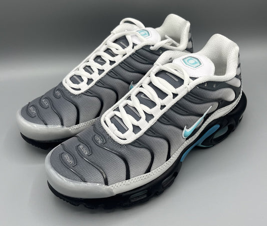 Nike Air Max Plus x One Block Down "Matte Silver"