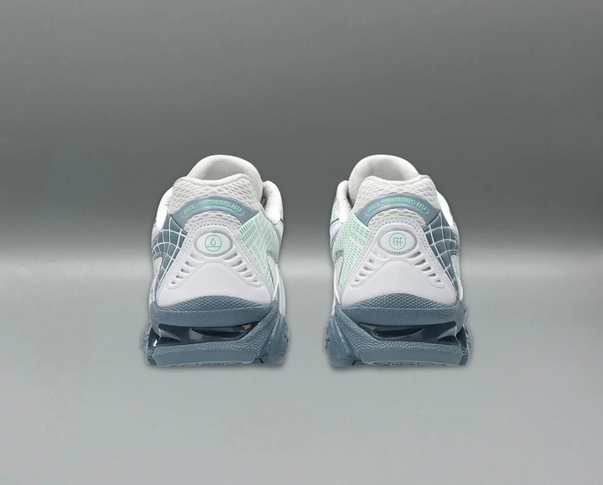 Asics Gel-Nimbus 10.1 Gore-Tex "Fjord Grey"