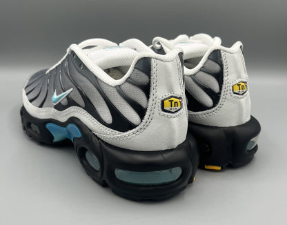 Nike Air Max Plus x One Block Down "Matte Silver"
