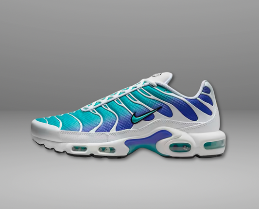 Nike Air Max Plus "Aqua"