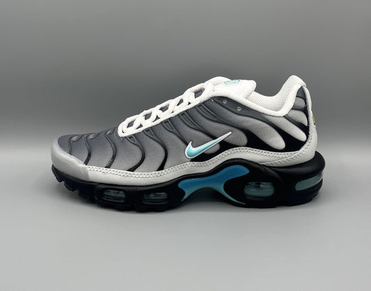 Nike Air Max Plus x One Block Down "Matte Silver"